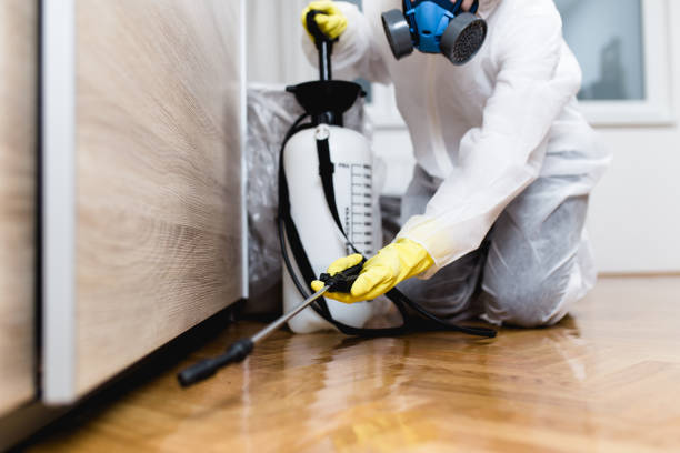 Best Emergency Pest Control  in Samsula Spruce Creek, FL