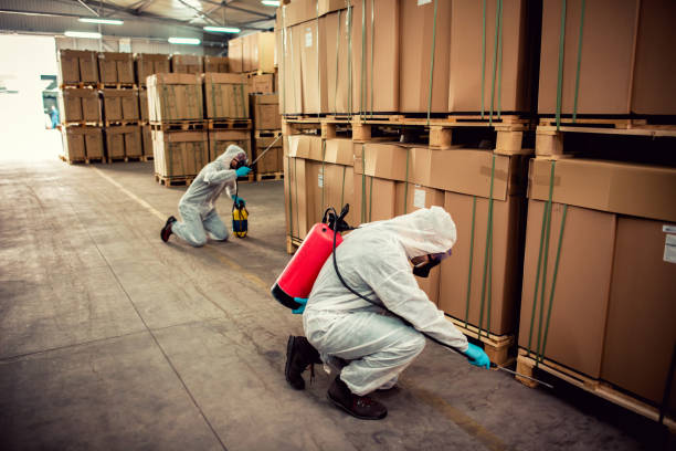 Best Pest Inspection Near Me  in Samsula Spruce Creek, FL