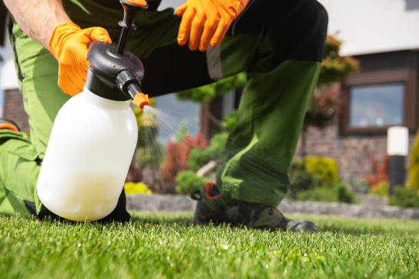 Best Mosquito Control Services  in Samsula Spruce Creek, FL