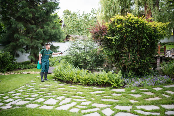 Best Wasp Removal Services  in Samsula Spruce Creek, FL