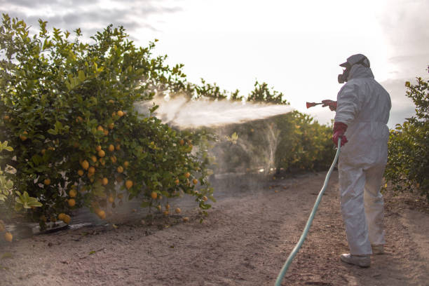 Pest Control for Restaurants in Samsula Spruce Creek, FL
