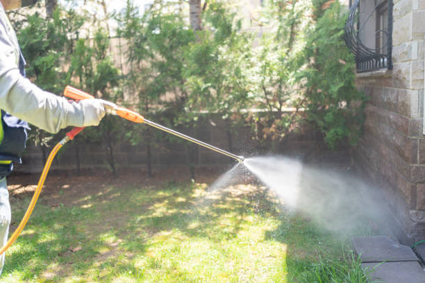 Best Wasp Removal Services  in Samsula Spruce Creek, FL