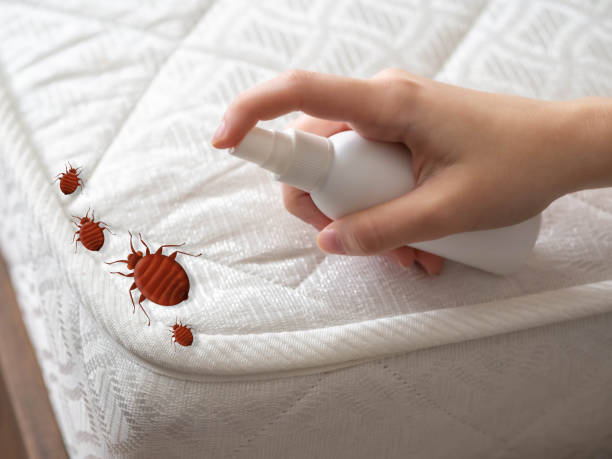 Samsula Spruce Creek, FL Pest Control Company