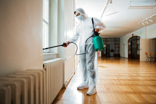 Best Cockroach Control Services  in Samsula Spruce Creek, FL